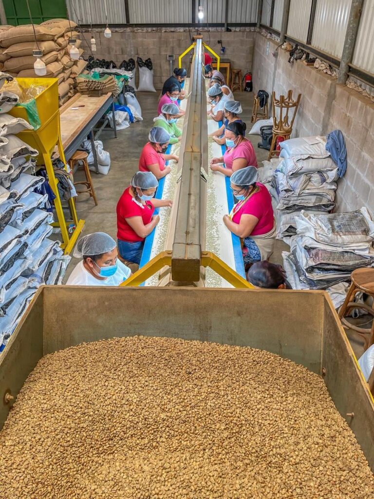 「キーコーヒー」2月 珈琲探訪シリーズのご紹介