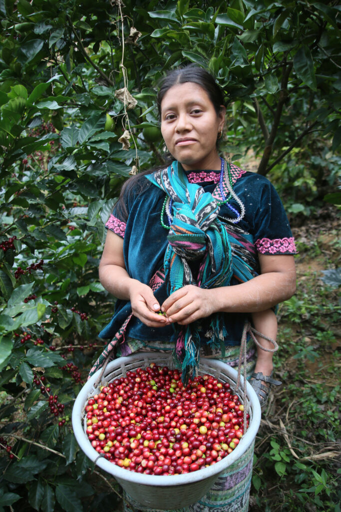 「キーコーヒー」4月 珈琲探訪シリーズのご紹介